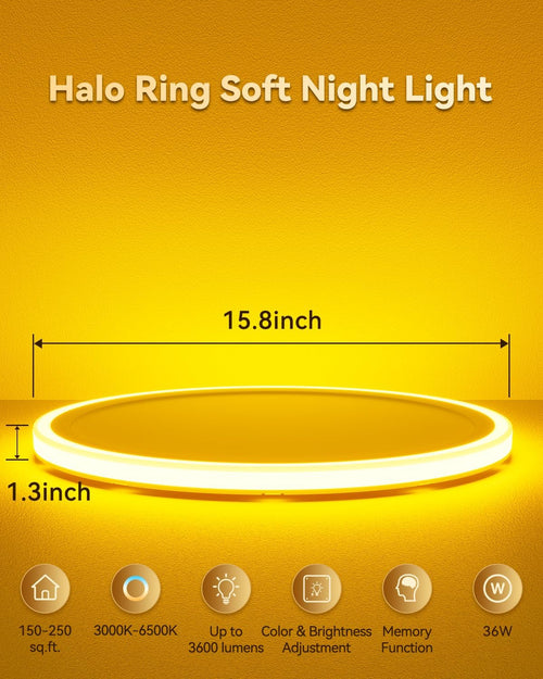 15.8 inch LED Flush Mount Ceiling Light with Night Light,36W 3600LM 3000K-6500K Dimmable Ceiling Light Fixture for Bedroom,Kitchen,Hallway - Wall Switch/Remote/APP Control