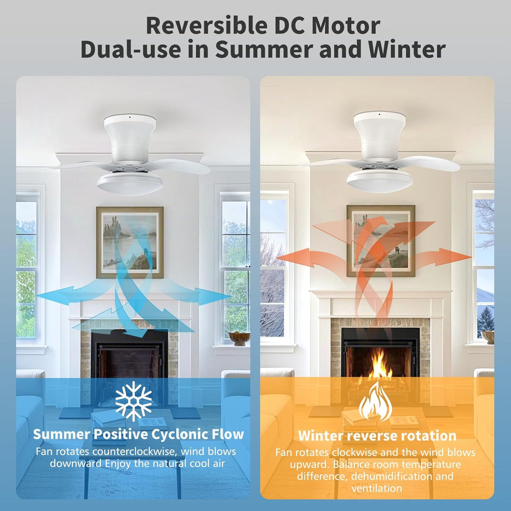 22inch Ceiling Fans with Lights, 6-Speed Reversible DC Motor, Dimmable LED Light, 3CCT, Quiet Operation, for Kitchen Bedroom Dining Room Patio (White)