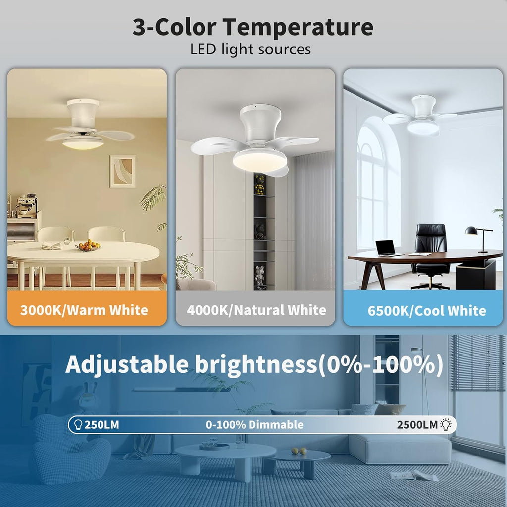 22inch Ceiling Fans with Lights, 6-Speed Reversible DC Motor, Dimmable LED Light, 3CCT, Quiet Operation, for Kitchen Bedroom Dining Room Patio (White)